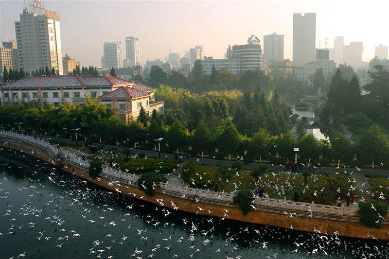 母親河盤龍江 http://www.xzycr.cn/